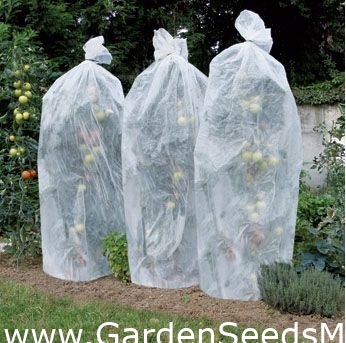 Pokrivalo iz paradižnika iz flisa s paradižnikom - 15 m, ø 50 cm - – Garden  Seeds Market | Brezplačna dostava